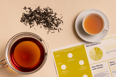 Tee richtig zubereiten: Worauf muss man achten?