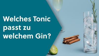 Im Video: Warum passen Gin & Tonic so gut?