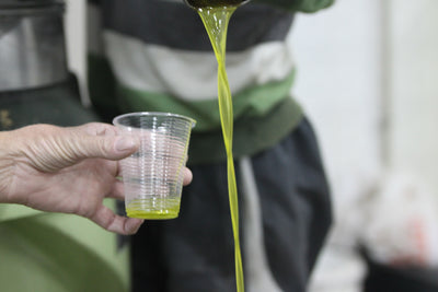 Wie unterscheiden sich gute von schlechten Olivenölen?
