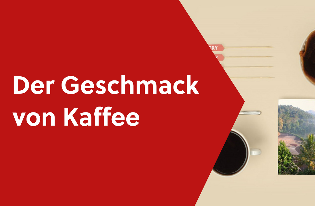 Im Video: Wie entsteht Geschmack im Kaffee?