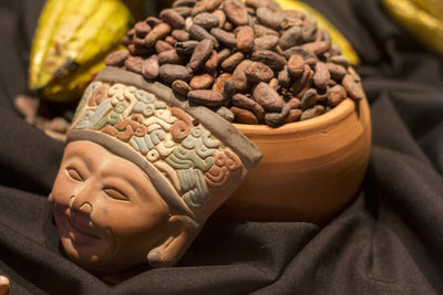 Die "göttliche" Geschichte der Schokolade