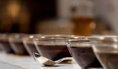 Kaffee-Cupping: Kaffee probieren wie ein Profi